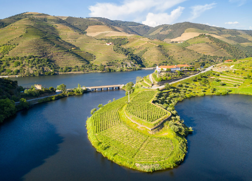Douro Valley Experience