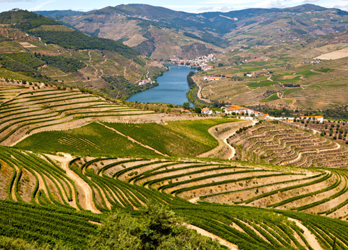 Portugal Wine Region