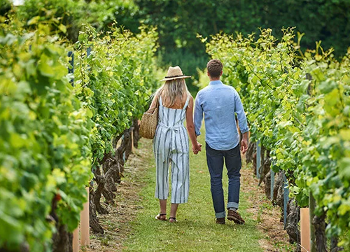 Vineyard Experiences in Spain